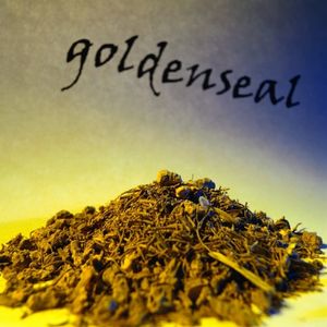 Slika: Goldenseal - iseckan i isušen