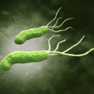 Sliika: Helicobacter Pylori. Слика: Хеликобактер пилори